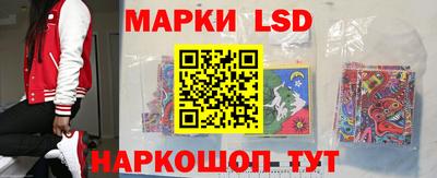 мдпв Камышлов