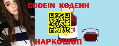 мдпв Камышлов